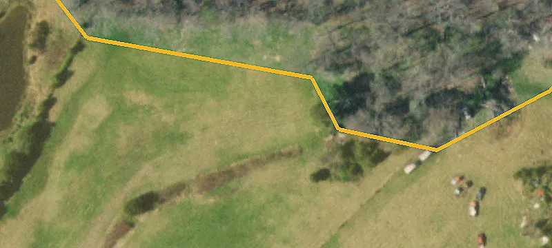 Mostly Wooded Land Lot