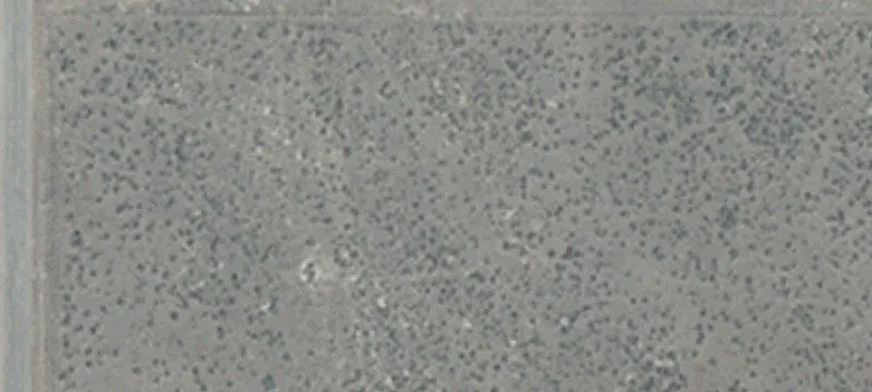 Flat Acreage Build Site