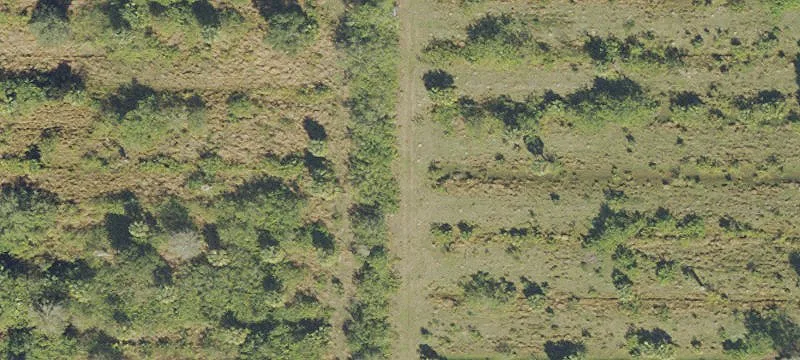Agricultural Land Parcel