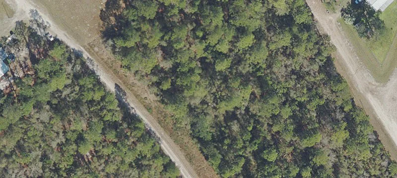 Residential Land Homesite