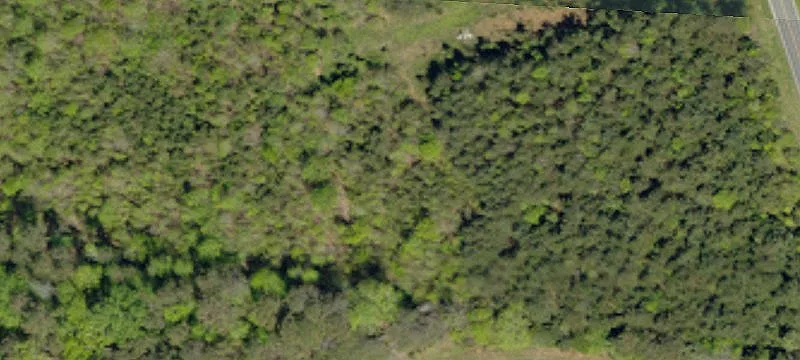 Wooded Residential Acreage with Creek
