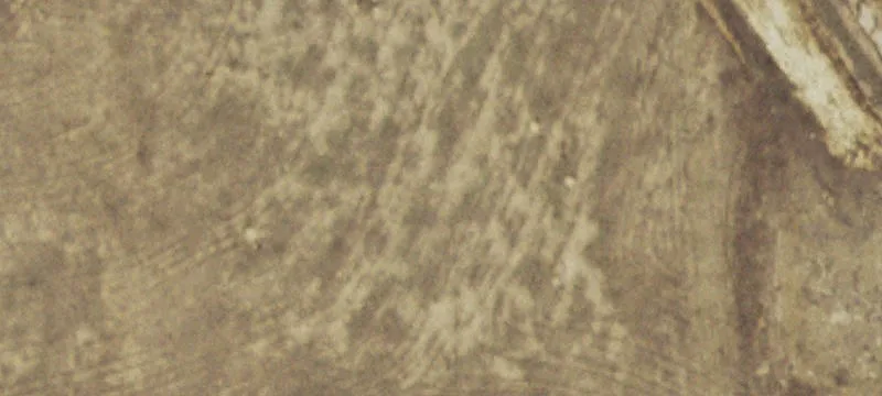 Acreage Homesite Community Land