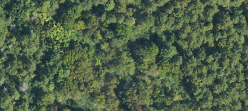 Level Waterfront Bluff Lot