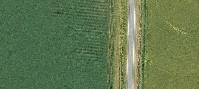 Recreational Hunting Land Tract
