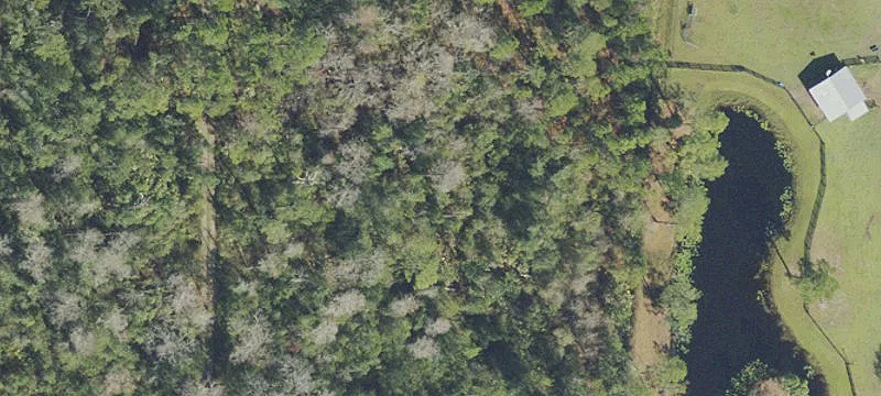 Residential Land Parcel with Wetlands
