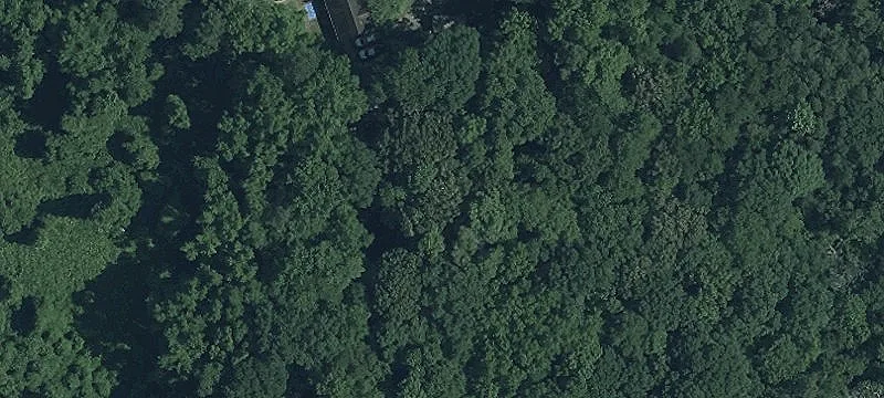Residential Homesite with Approved Perc