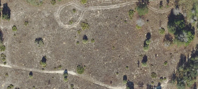 Equestrian-Ready Land Parcel