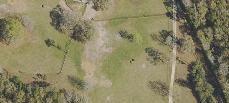 Wooded Recreational Land Tract