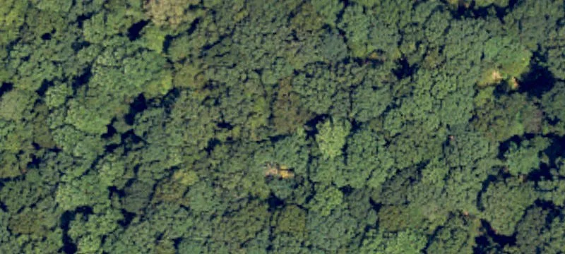 Recreational Hunting Land with Ponds