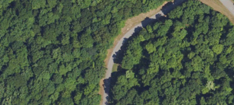 Wooded Residential Development Land