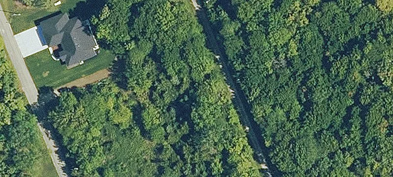 Treed Lake Area Building Lots