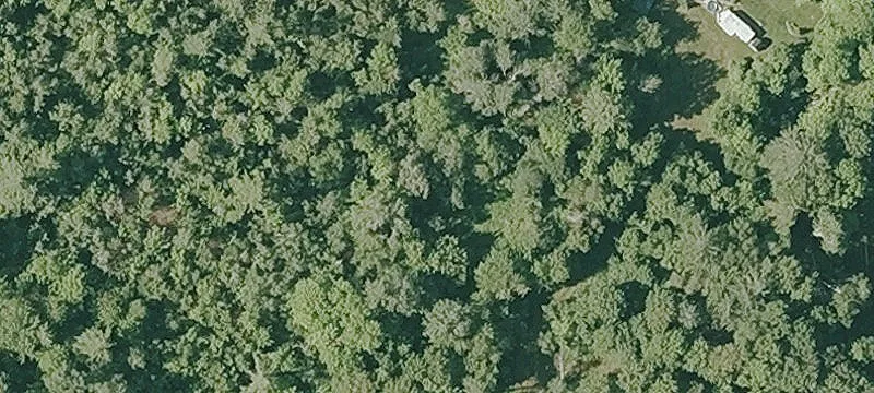 Rural Homesite With Utilities