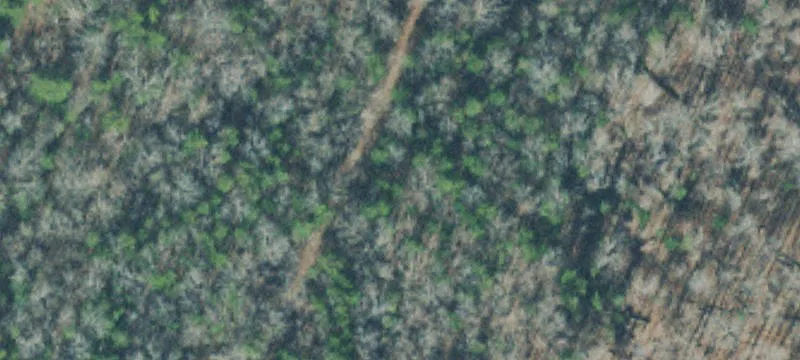 Riverfront Hunting and Timber Land