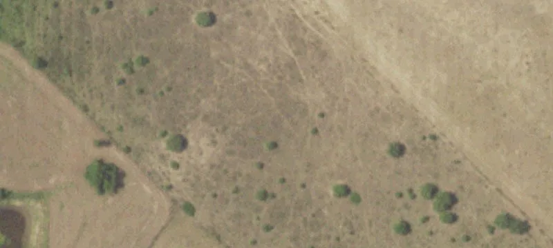 Agricultural Land with Ag Exemption