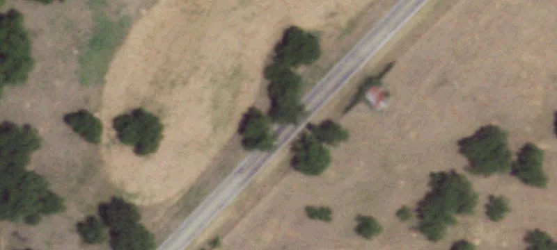 Agricultural Land with Pecan Trees