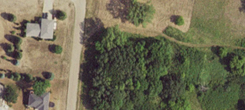 Treed Residential Building Lot