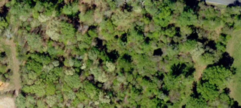 Wooded Land with Natural Springs