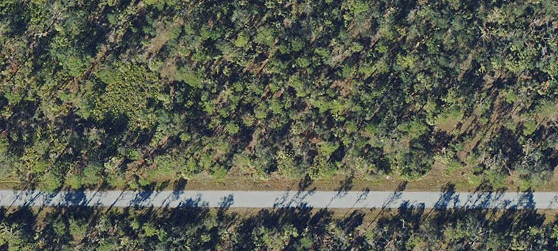 Wooded Residential Building Lot