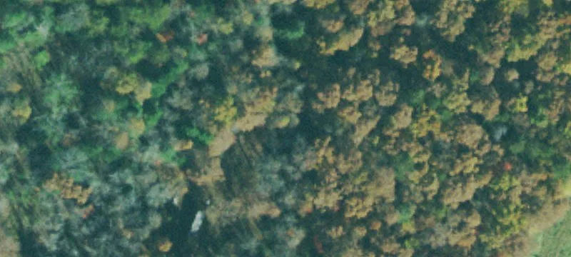 Road-Front Agricultural Land Tract