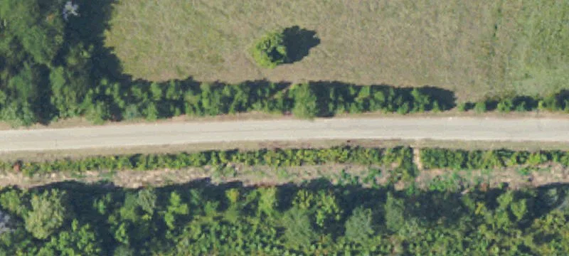 Recreational Farmland with Road Frontage