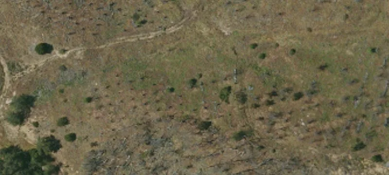 Fully Fenced Hemp Ag Land