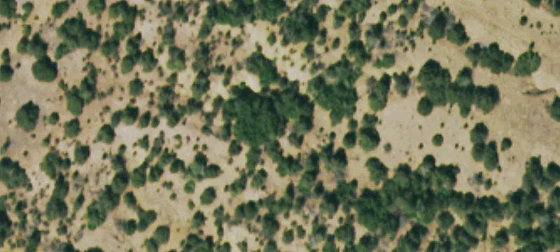 Recreational Hunting Land Parcel