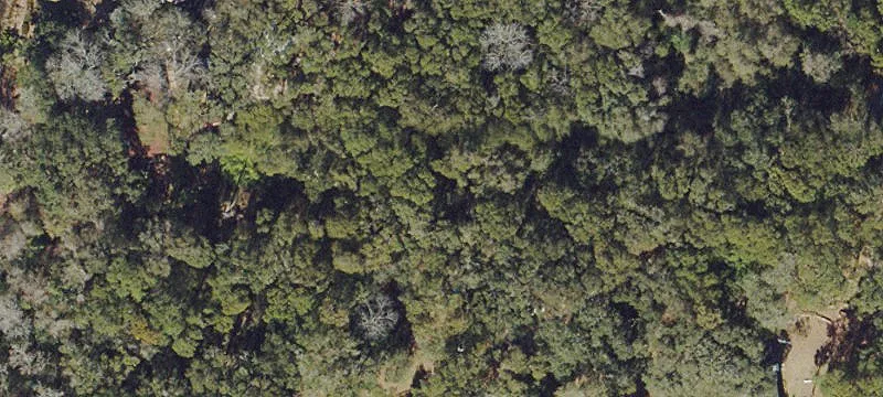 High-and-Dry Marshfront Homesite