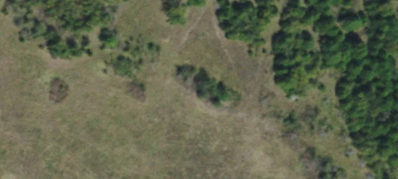 Rural Ranch with Stocked Ponds