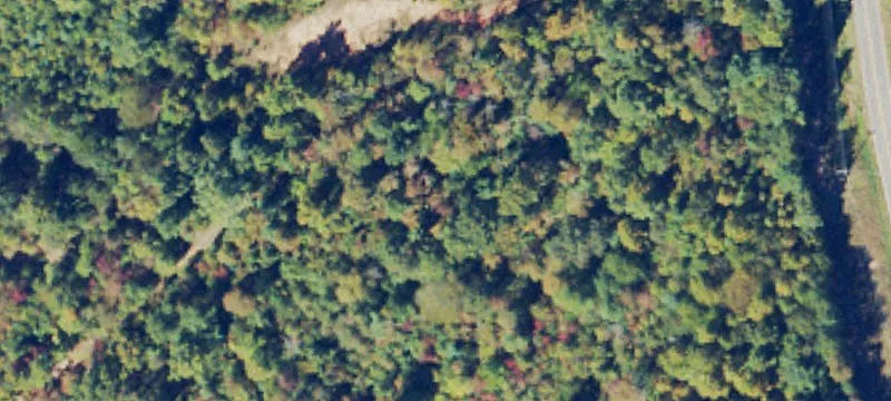 Recreational Farm Tract with Creeks