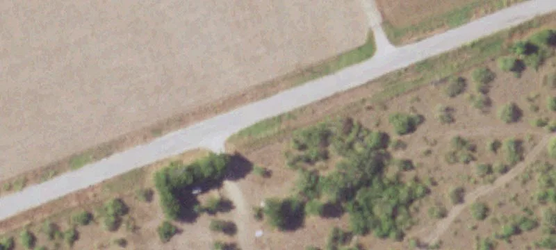 Privately Wooded Hunting Land