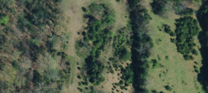 Recreational Hunting Tract