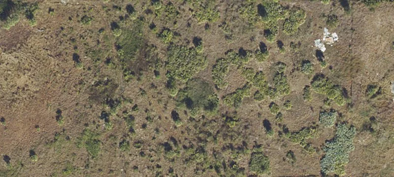 Vacant Hunting Land Parcel