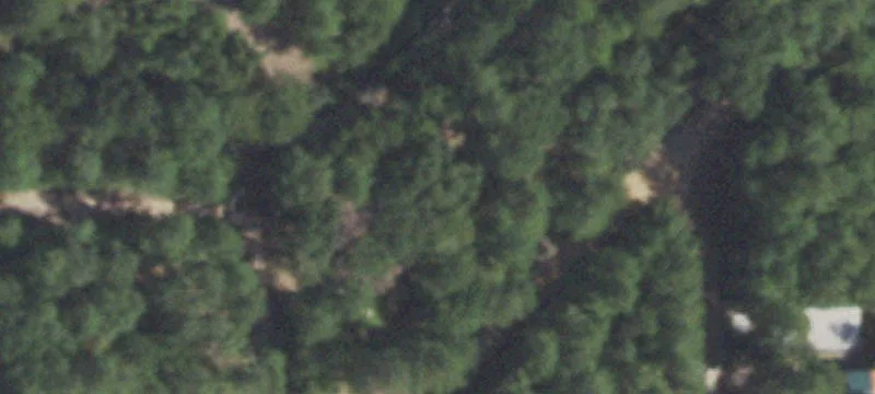 Uncleared Hunting Land Lot