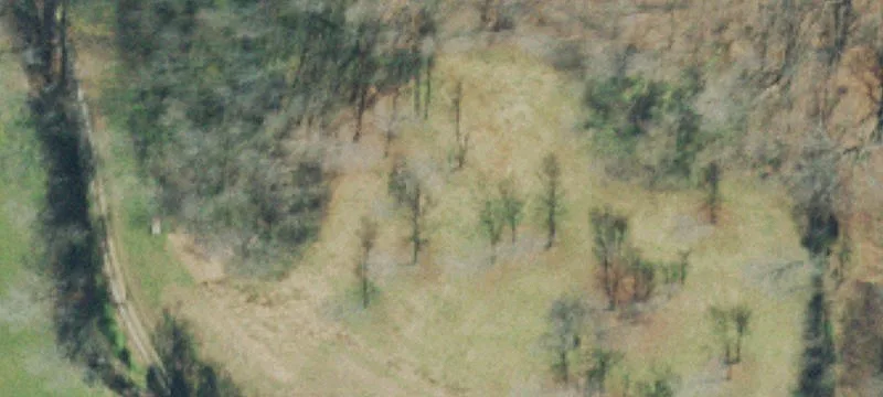 Acreage with Road Frontage