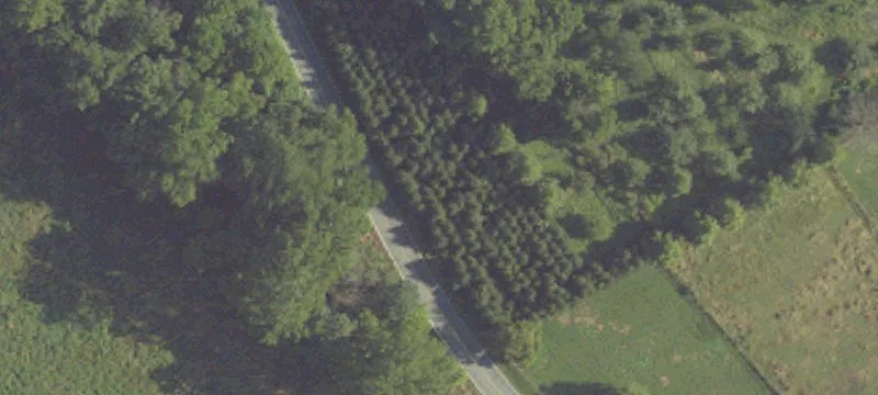Builder Lot with Utilities Available