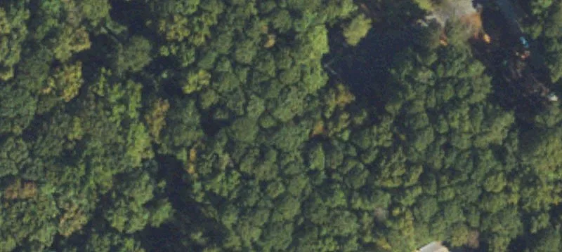 Buildable Lots in Established Subdivision