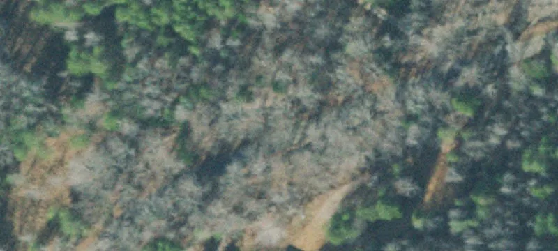 No-Restrictions Land Parcel