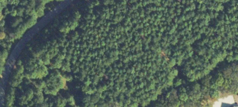 Wooded Corner Lot in Cul-de-sac