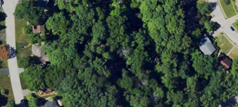 Wooded Estate Lot with Prepared Pad