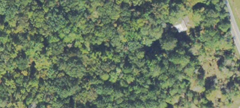 Wooded Residential Homesite Land