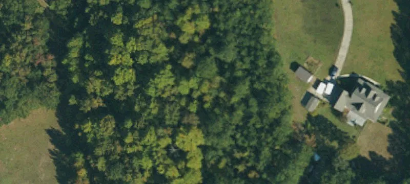 Wooded Country Home Site