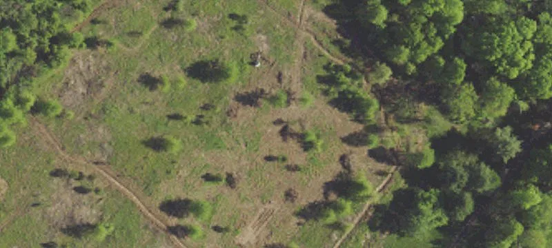Multi-Parcel Estate Development Land