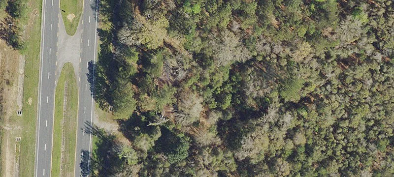 Wooded Hunting Land with Home Site