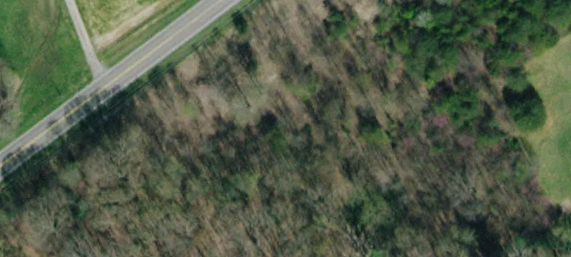 Wooded Residential Home Lot