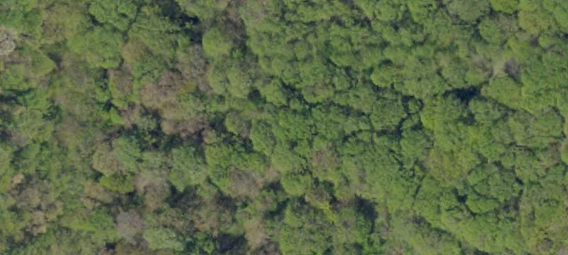 Residential Homesite in Established Community