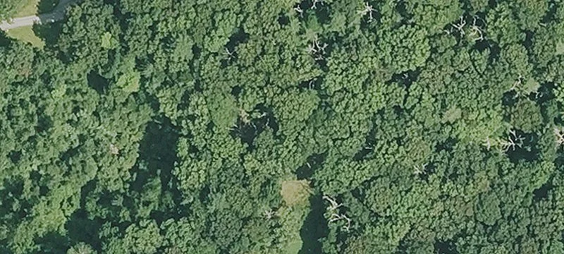 Residential Building Lot
