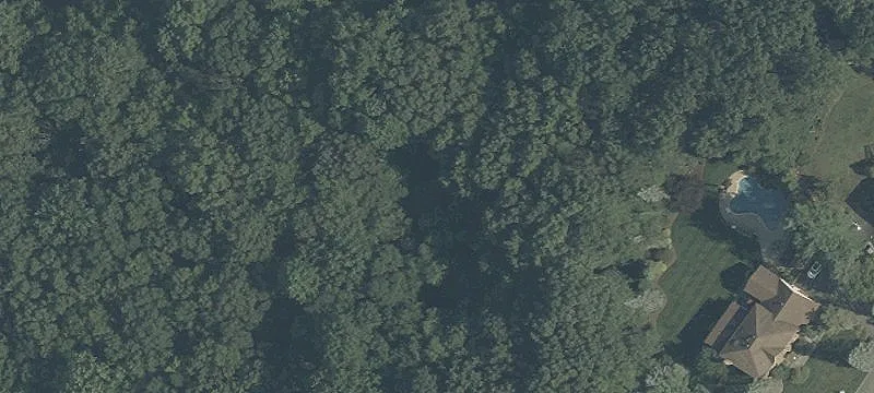 Development Land with Wetlands Area