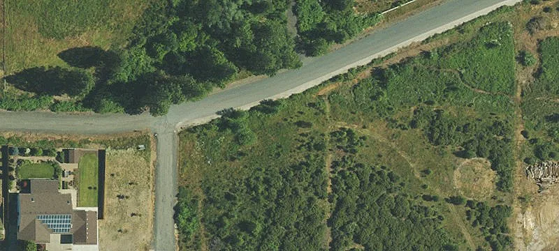 Treed Residential Development Parcel