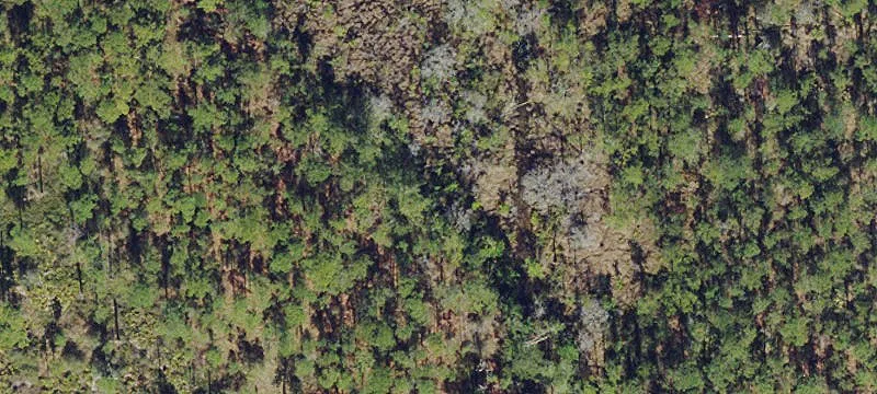 Vacant Residential Land Lot