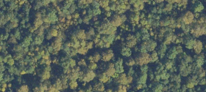 Specialty Acreage Land